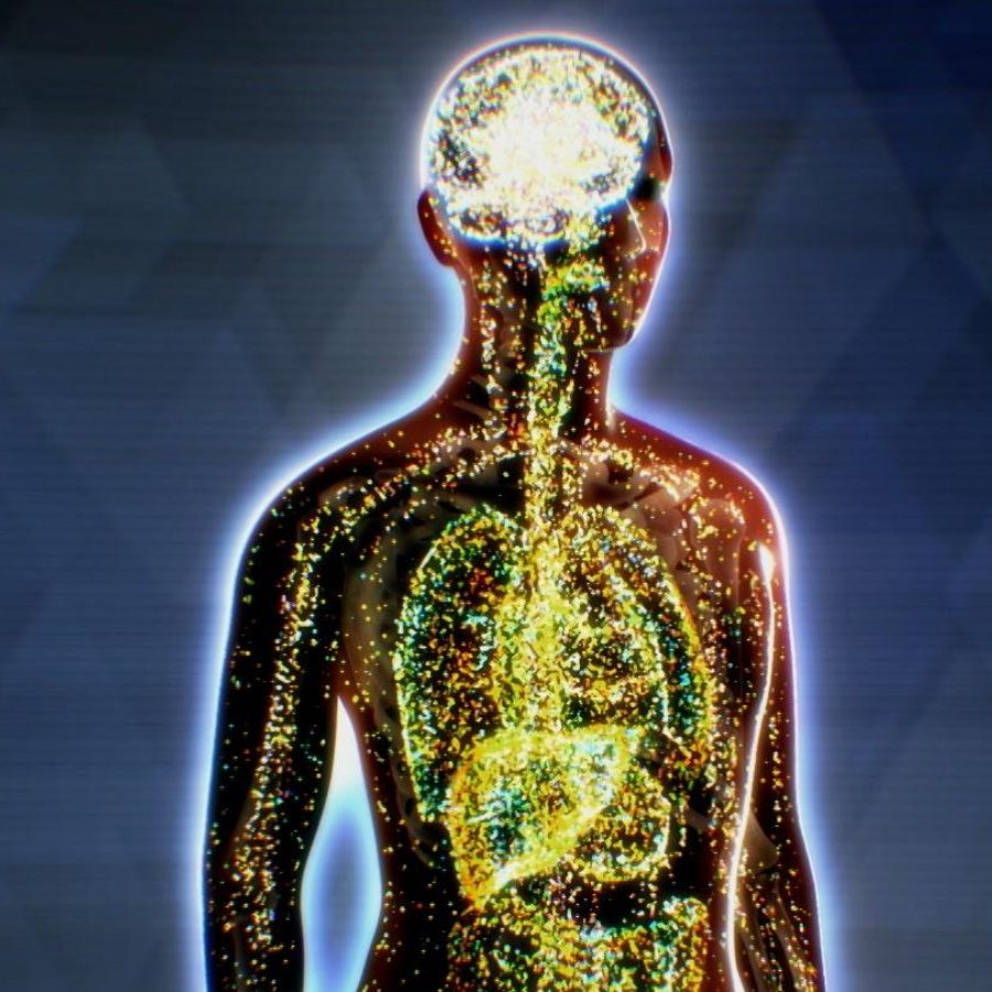How Delta 8 Works in the Body(2)