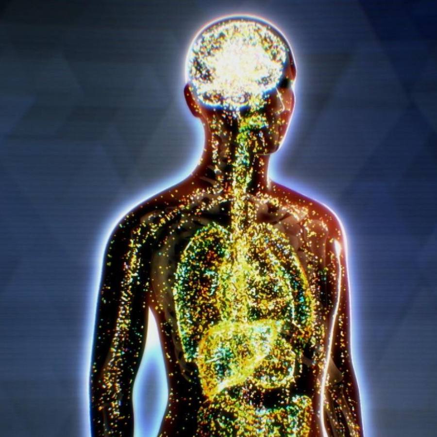 How Delta 8 Works in the Body(2) How Delta 8 Works in the Body(2)