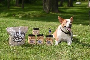 CBD for Pets